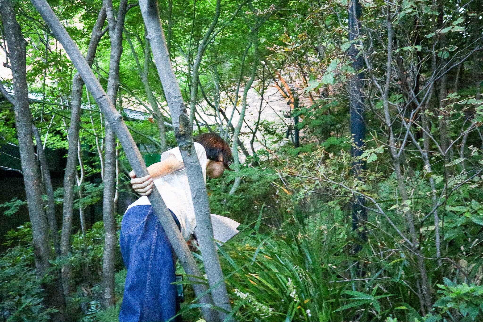 Now Open: Introduction to Urban Design from the Perspective of Living Creatures (Four-Part Series)!