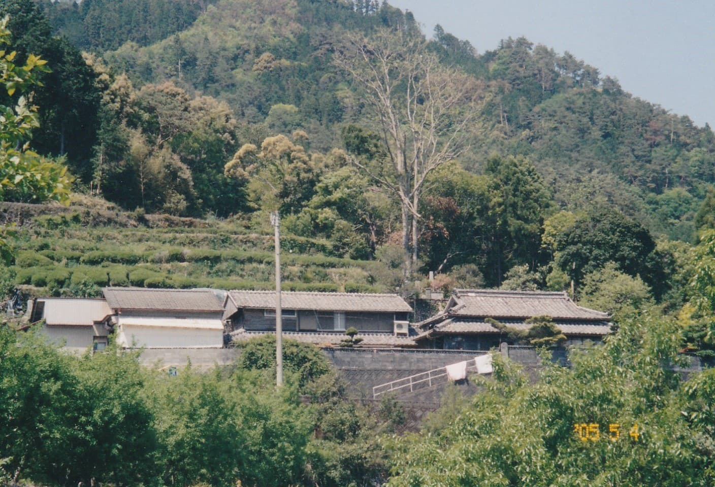 Magohaku