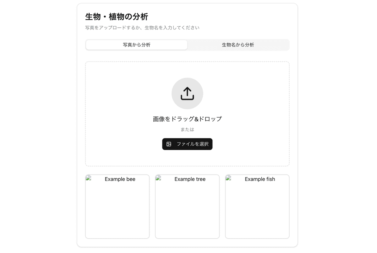 Embedded Asset